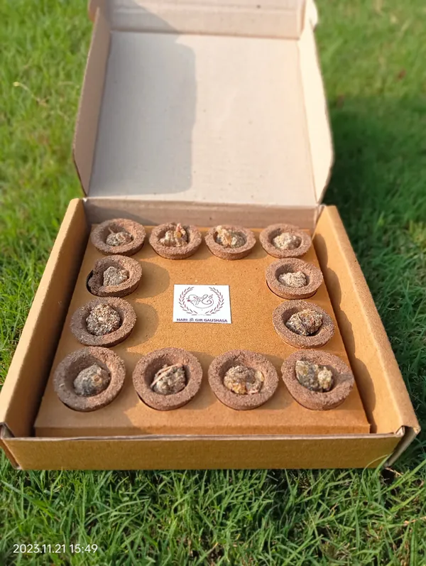 Natural_Sambrani_Resin_Cow_Dung_Dhoop_Cup_Pack_Of_2