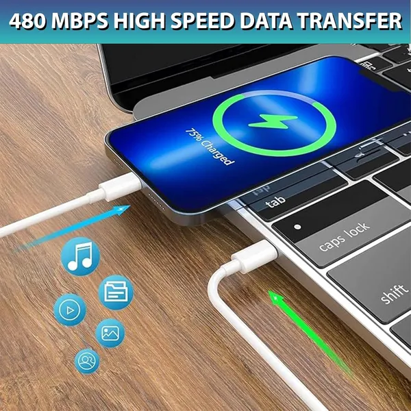 Caliber_Sonic_Usb-C_Fast_Charger_Adapter_With_Lightning_Cable_White