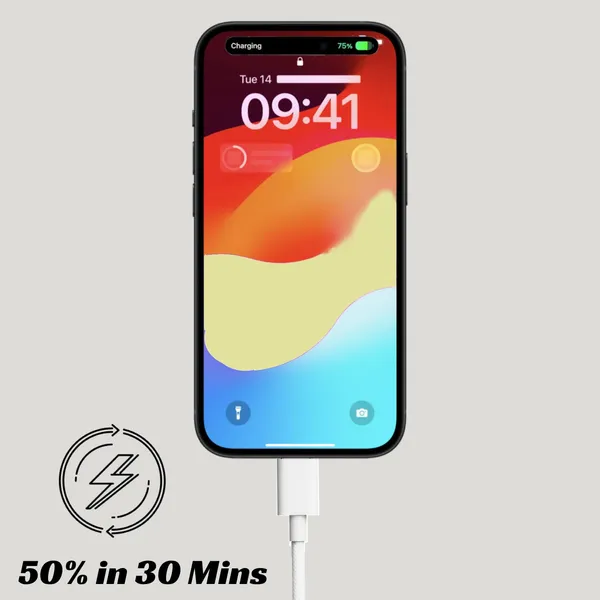 Caliber_Sonic_25W_Braided_Usb-C_To_Usb-C_Cable_Iphone_15/16/17_1.2M_White