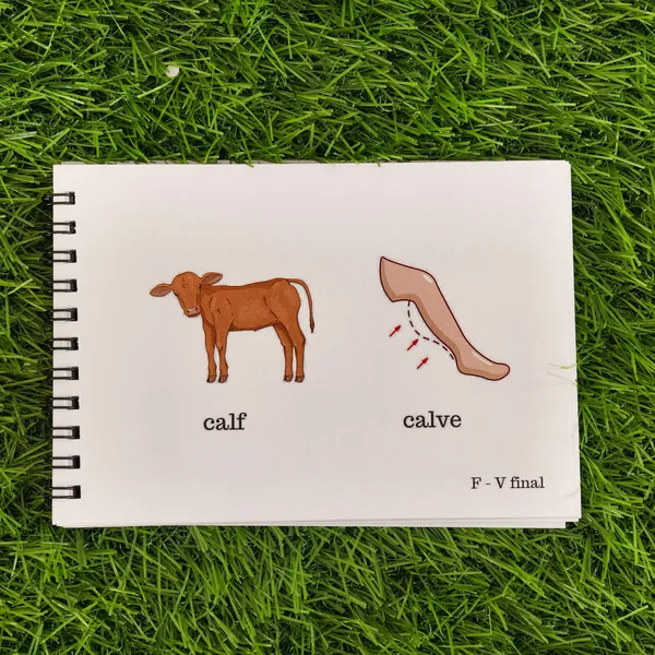 Phonological_Processing_Learning_Flashcards