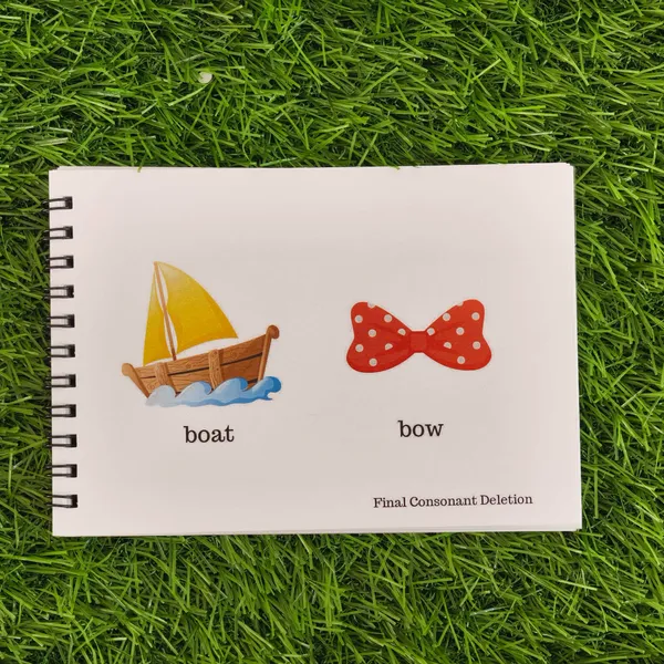 Phonological_Processing_Learning_Flashcards