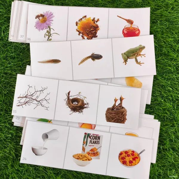 3_step_Sequencing_Activity_Cards_–_Build_Storytelling,_Language_&_Thinking_Skills_(Set_of_52)