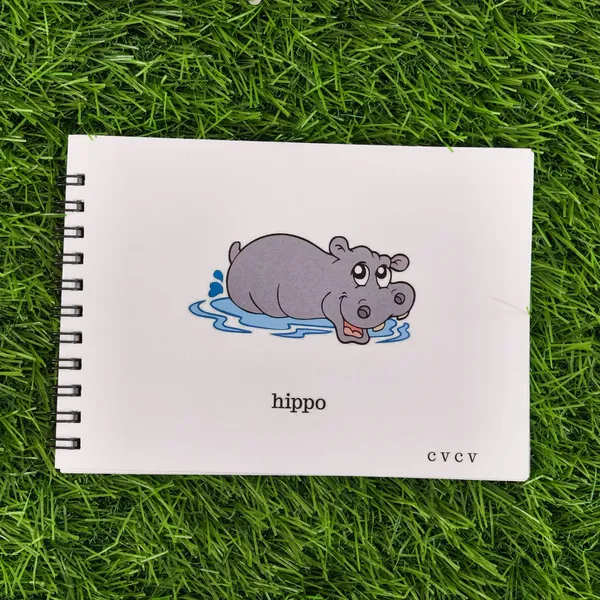 Apraxia_Of_Speech_Phonics_Flipbooks_Set_Of_12