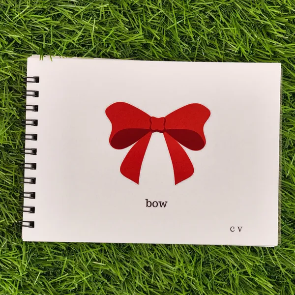 Apraxia_Of_Speech_Phonics_Flipbooks_Set_Of_12