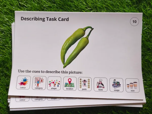 Describe_&_Explain_Activity_Cards_–_Build_Sentences_and_Expressive_Language_Skills