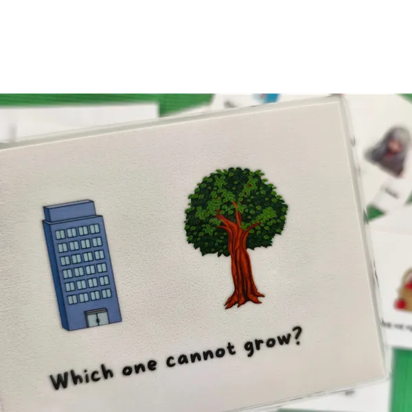 Understanding_“No_&_Not”_Activity_Cards_–_Negation,_Thinking_&_Language_Skills_(Set_of_64)