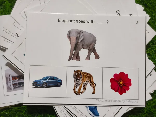 Semantic_Connections_-_Word_Association_Activity_Cards_–_Build_Vocabulary,_Thinking_&_Language_Skills