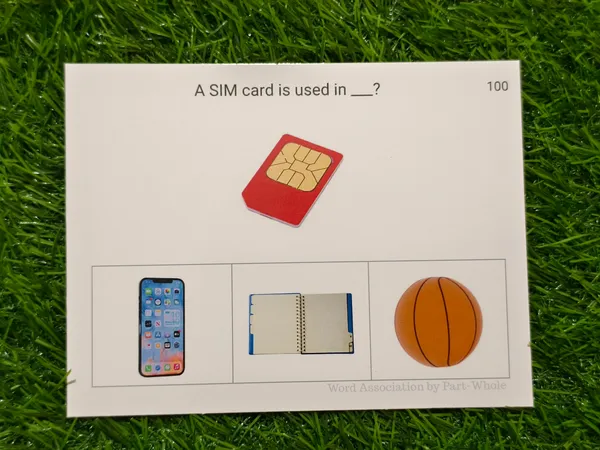 Semantic_Connections_-_Word_Association_Activity_Cards_–_Build_Vocabulary,_Thinking_&_Language_Skills