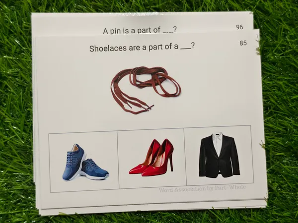Semantic_Connections_-_Word_Association_Activity_Cards_–_Build_Vocabulary,_Thinking_&_Language_Skills