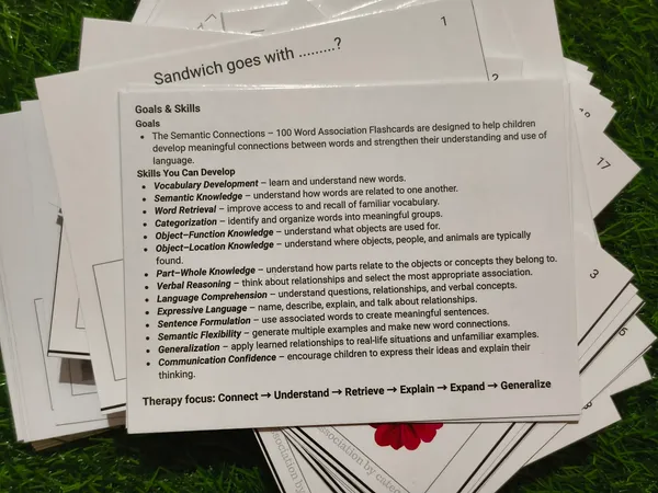Semantic_Connections_-_Word_Association_Activity_Cards_–_Build_Vocabulary,_Thinking_&_Language_Skills