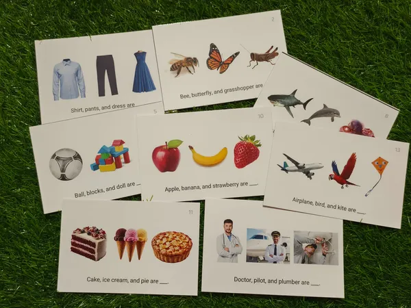Name_the_Category_Thinking_Cards-_Divergent_Naming_–_Build_Vocabulary,_Reasoning_&_Language_Skills