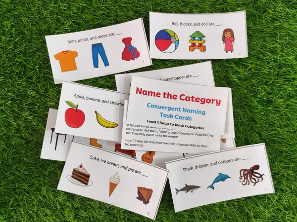 Category_Thinking_Cards_–_Build_Vocabulary,_Reasoning_&_Language_Skills