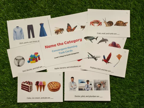 Name_the_Category_Thinking_Cards-_Divergent_Naming_–_Build_Vocabulary,_Reasoning_&_Language_Skills