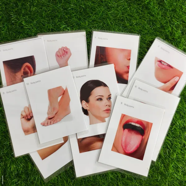 500_Laminated_and_reusable_flashcards_set_for_speech_therapy_