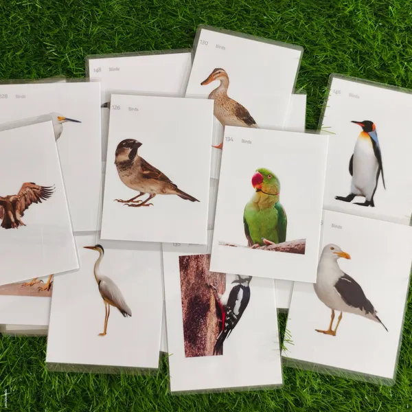 500_Laminated_and_reusable_flashcards_set_for_speech_therapy_