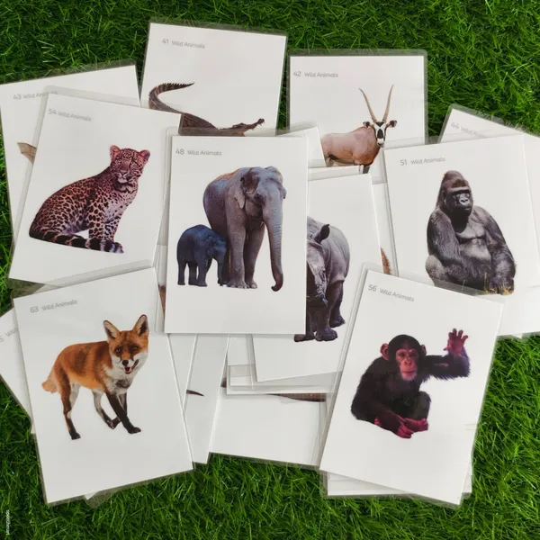 500_Laminated_and_reusable_flashcards_set_for_speech_therapy_
