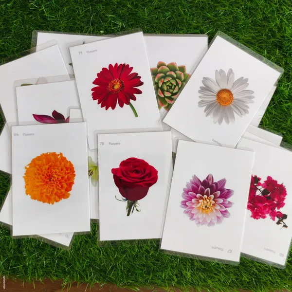 500_Laminated_and_reusable_flashcards_set_for_speech_therapy_