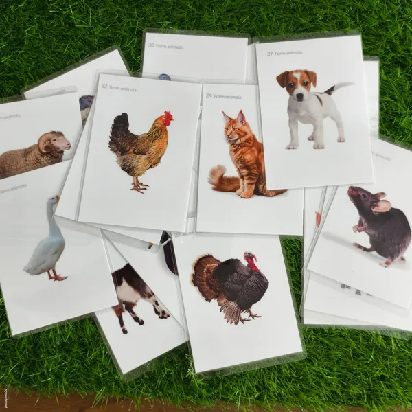 500_Laminated_and_reusable_flashcards_set_for_speech_therapy_