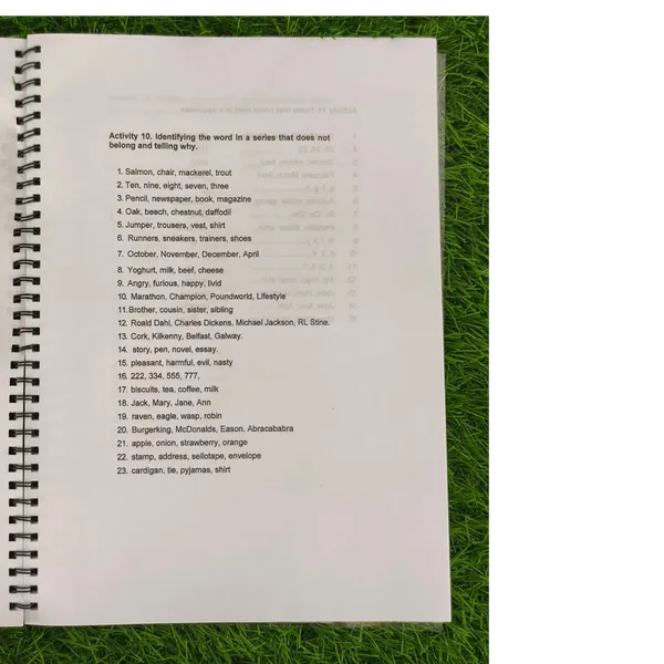 Vocabulary_Builder_Workbook_Set_–_Semantic_Mapping_Activities_for_Language_Development_(Set_of_4)