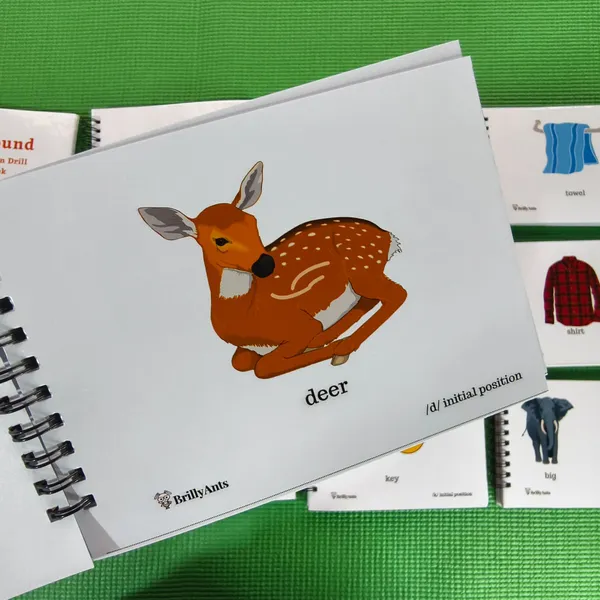 ArticuFlip:_English_Articulation_12_sounds_Flipbook_Set