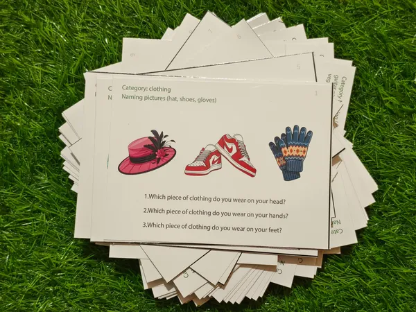 Language_&_Meaning_builder_-_Semantic_Made_Easy_-_"Wh"_Question_Task_cards