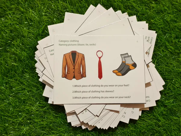 Language_&_Meaning_builder_-_Semantic_Made_Easy_-_"Wh"_Question_Task_cards