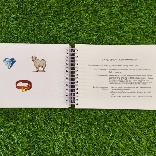 Semantic_Made_Easy_Picture_Card_Activity_Book