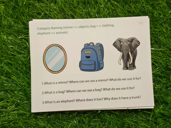 Language_&_Meaning_builder_-_Semantic_Made_Easy_-_"Wh"_Question_Task_cards