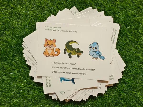 Language_&_Meaning_builder_-_Semantic_Made_Easy_-_"Wh"_Question_Task_cards