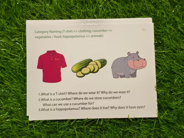 Language_&_Meaning_builder_-_Semantic_Made_Easy_-_"Wh"_Question_Task_cards