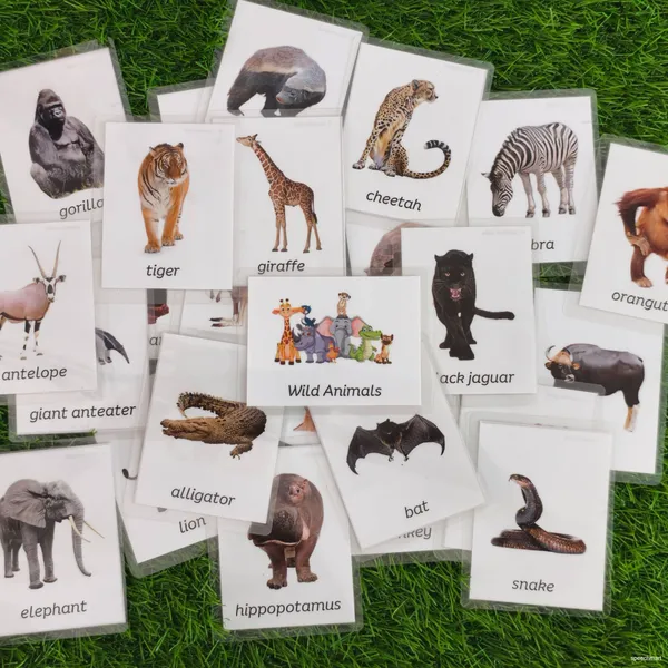 Complete_Speech_Therapy_Kit:_612_flashcards_With_activity_guide_Board_Book