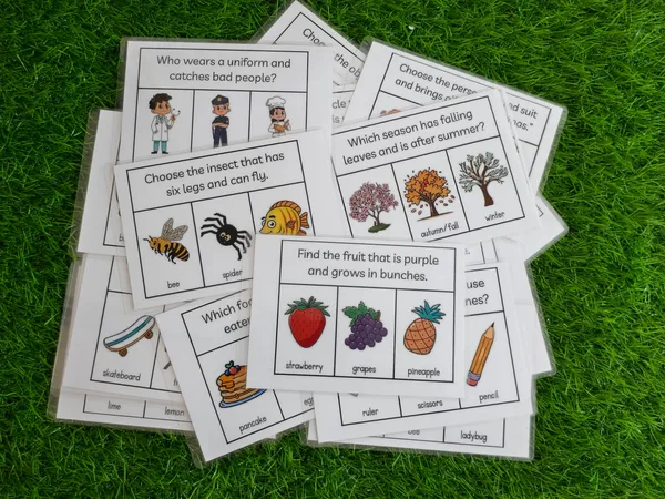 Character_And_Functions_Vocabulary_Flashcards_(80_tasks)_