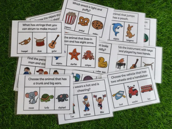 Character_And_Functions_Vocabulary_Flashcards_(80_tasks)_