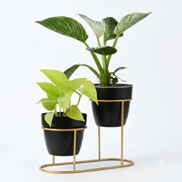 Golden_Iron_Metal_Premium_Tabletop_Decoration_For_Table_Planter
