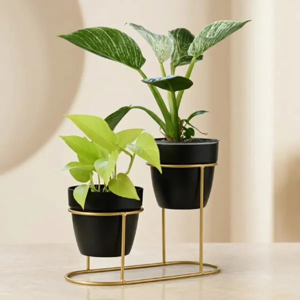 Golden_Iron_Metal_Premium_Tabletop_Decoration_For_Table_Planter