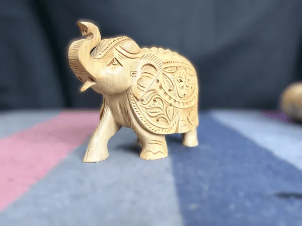 Hand-Carved_Kadam_Wood_Elephant_with_Upturned_Trunk_Traditional_Floral_Relief_Vastu_Showpiece