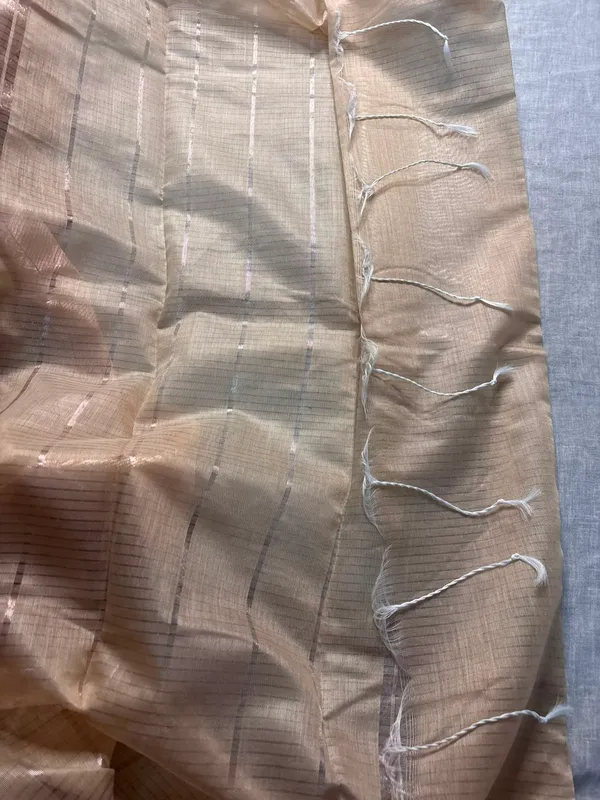 Beige_Silk_Traditional_Zari_Border_Saree_For_Women