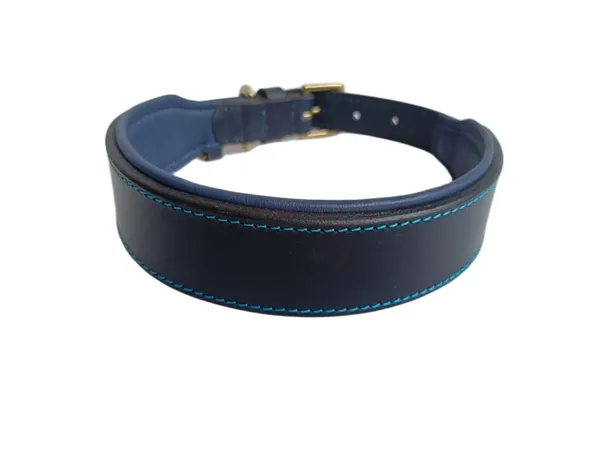 Black_And_Blue_Leather_Adjustable_Dog_Collar_Harness_Set_With_Leash