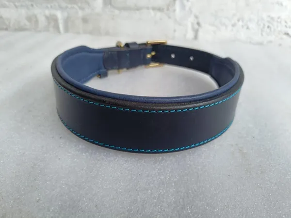 Black_And_Blue_Leather_Adjustable_Dog_Collar_Harness_Set_With_Leash