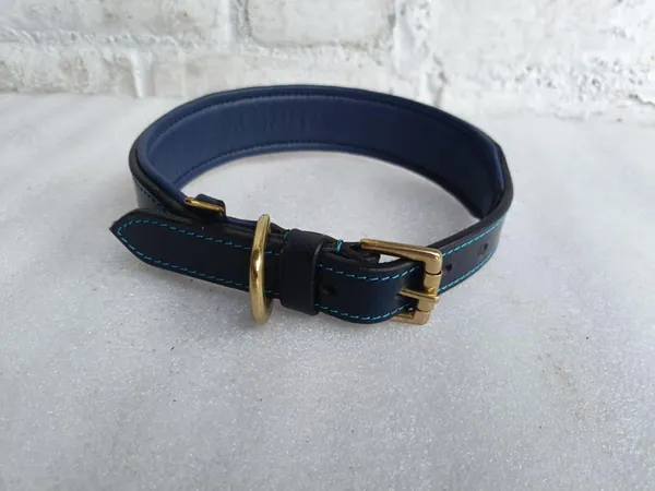 Black_And_Blue_Leather_Adjustable_Dog_Collar_Harness_Set_With_Leash
