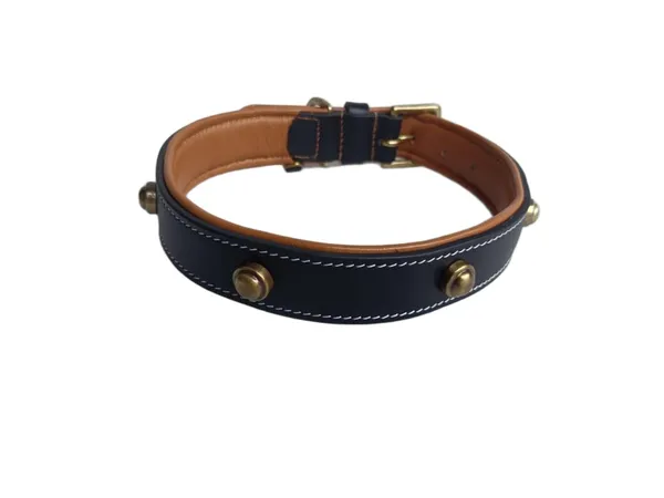 Black_And_Brown_Leather_Adjustable_Dog_Collar_Harness_Set_With_Leash