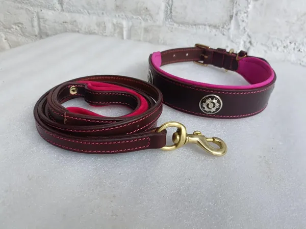 Brown_And_Pink_Leather_Adjustable_Dog_Collar_Harness_Set_With_Leash