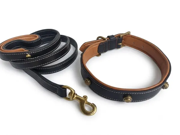 Black_And_Brown_Leather_Adjustable_Dog_Collar_Harness_Set_With_Leash