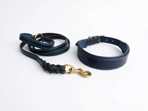 Black_And_Blue_Leather_Adjustable_Dog_Collar_Harness_Set_With_Leash