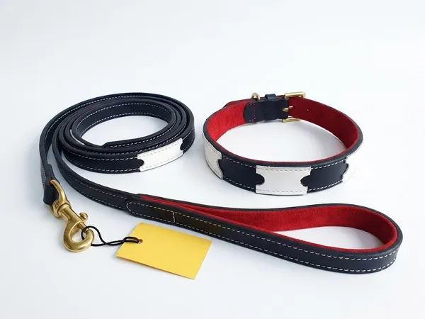 Black_And_White_Leather_Adjustable_Dog_Collar_Harness_Set_With_Leash