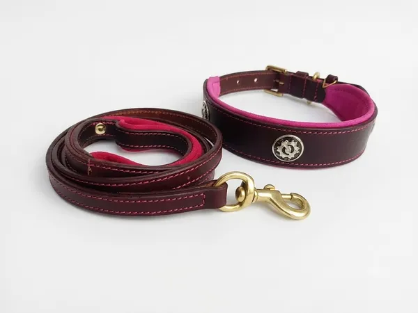 Brown_And_Pink_Leather_Adjustable_Dog_Collar_Harness_Set_With_Leash