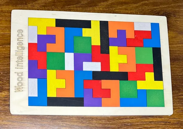 Wooden_Logic_Brain-Teaser_Multi-Activity_Puzzle_Toy_-_Pack_Of_2
