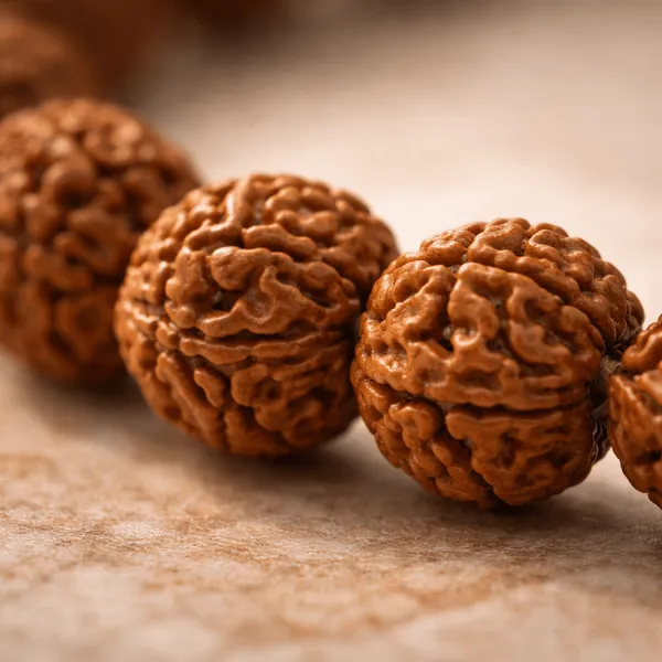 Brown_Rudraksha_Bead_Bracelet_With_Om_Charm
