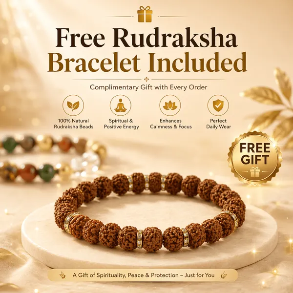 Money_Magnet_Bracelet_Combo_with_Free_Rudraksh_Bracelet