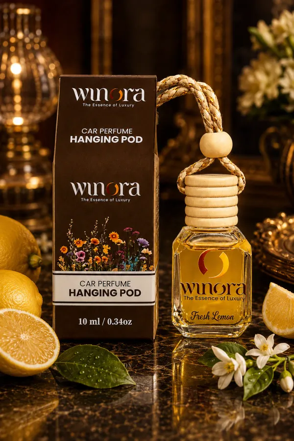 Lemon_and_Aqua_Car_Hanging_Pod_(Pack_of_2)